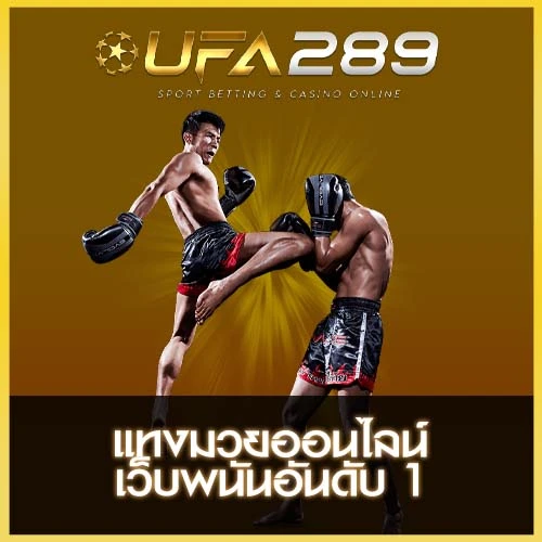 แทงมวย UFA289